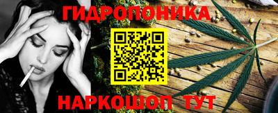 прущая мука Кингисепп