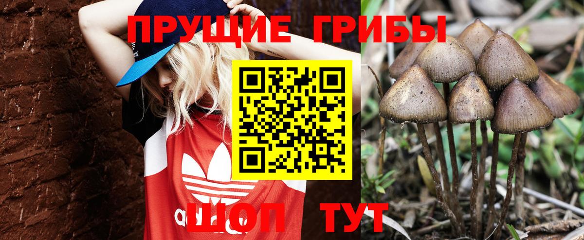 Галлюциногенные грибы прущие грибы Шелехов