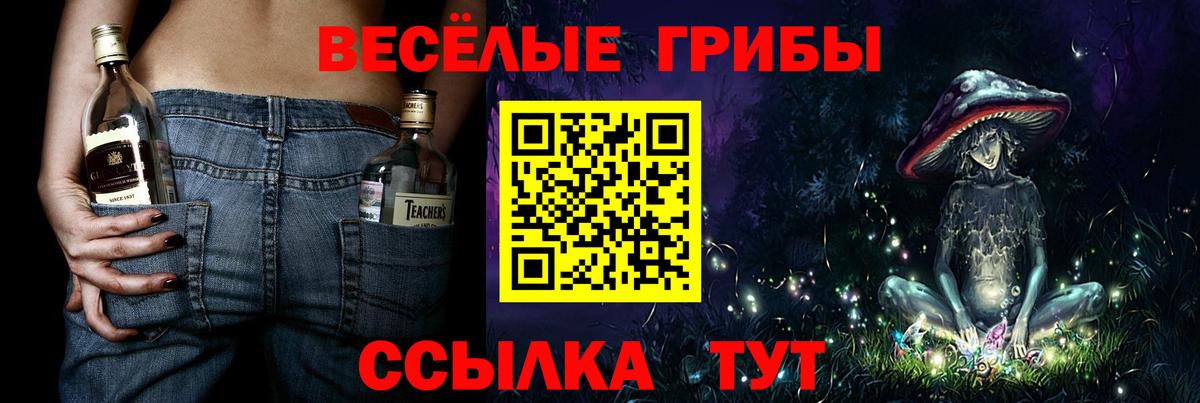 Шелехов  Галлюциногенные грибы Magic Shrooms  Вход с VPN  Псилоцибиновые грибы MAGIC MUSHROOMS 